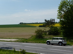 Geel - Photo of Luyères