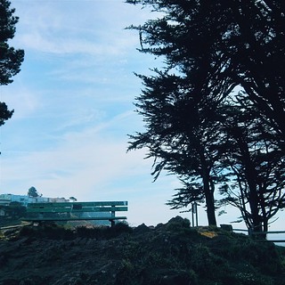 Sit, relax and enjoy.... Inhale, exhale.... Spring is around the corner, 49sq miles of esthetic and delicious goodness surrounds you.... Take a moment and take it in....  #sf #sanfrancisco #grandviewpark #turtlehill #bench #trees #sky #clouds #fog #buildi