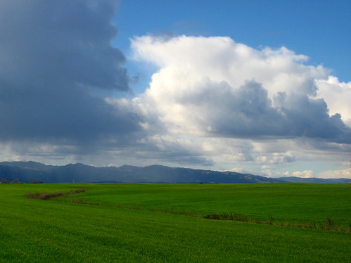 california grass clouds geotagged fields blueridge centralvalley swale yolo teletubbieland geo:lat=38563628 geo:lon=12185887