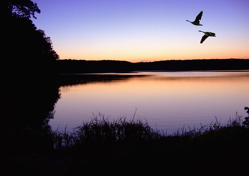 sunset usa lake water silhouette landscape evening geese illinois scenery lakecharleston