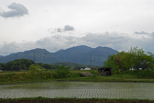 japan geotagged shrine hino shiga 滋賀 murai 村井 日野 geo:lat=350134222 geo:lon=1362625475