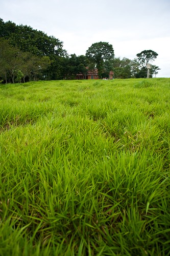 brazil green field grass brasil nikon farm sp nikkor f28 fazenda fertile 2470mm sãopaulo d700 marília fazstacarolina