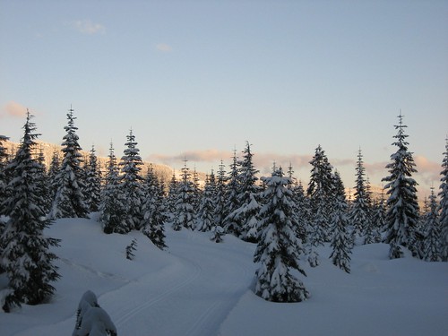 trees winter sunset snow glow hike snowshoeing