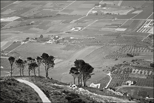 trees bw italy landscape italia view path hill valley sicily sicilia erice 55250mm