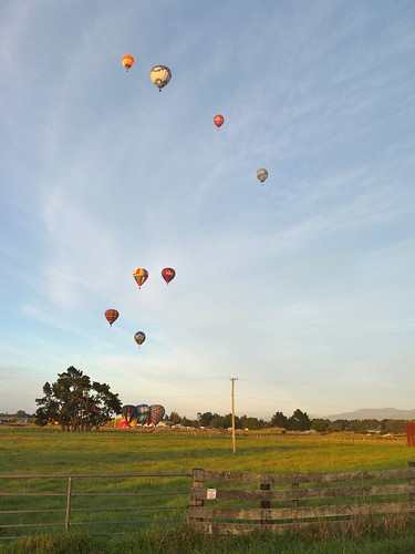 morning newzealand sky outside balloon flight nz hotairballoon balloonfiesta aotearoa breezy paddock wairarapa carterton dilomar09 curiouskiwi:posted=2009