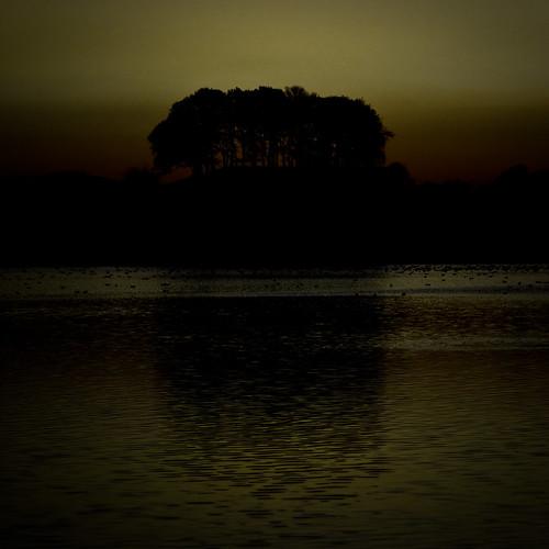 wood sunset lake reflection tree yellow cumbria fp daruma brampton talkintarn xpl oyasuminasai canon70200f4lis canon40d