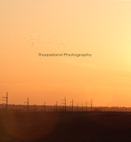 sunset northtexas texas denton canon30d thorpeland canonef70200mmf28lisusm landscape springtime