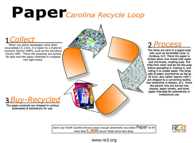 Paper Recycling Cycle
