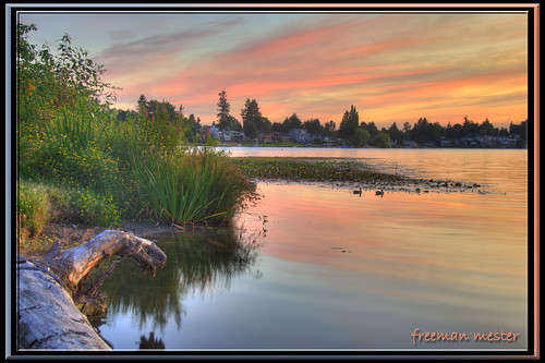 pink blue sunset lake reflection tree water nikon ducks hdr d90 3xp 18200mmf3556 ☆thepowerofnow☆