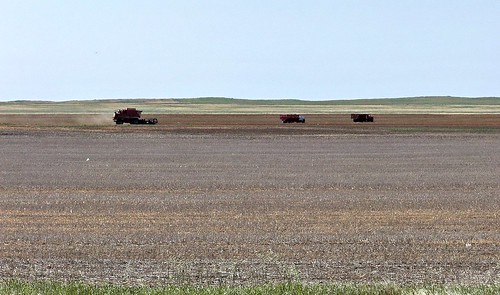 blue canada color colour farm harvest standrews sk prairie saskatchewan agriculture 2009 thresher 2000s canadagood