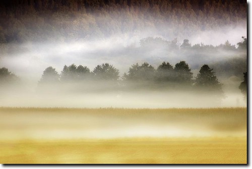 autumn trees mist field fog forest landscape deutschland nebel herbst feld landschaft wald bäume niedersachsen hannmünden hannoverschmünden gimte