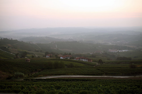 vacation vineyard wine piedmontregion
