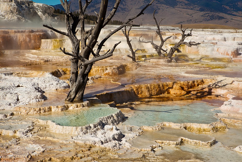 park usa hot nature water america landscape volcano spring montana natural terrace district famous terraces scenic landmark calcium tourist historic steam national pools mammoth springs heat limestone mineral yellowstone wyoming travertine volcanic geothermal vacations thermal carbonate