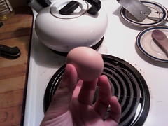 Little Egg 