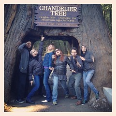 Giant Redwoods!!!! #evangenitals #mobydick #nwtour