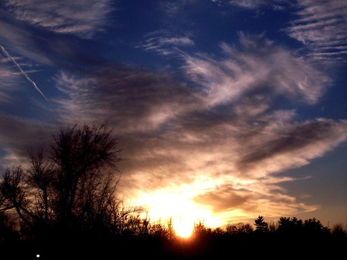 trees sunset sky sun tree clouds evening scenery springfieldmissouri theozarks rottladyhome