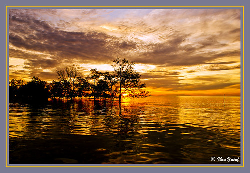 trees sunset sea river estuary malaysia a200 muar straitsofmalacca sonydslr anawesomeshot ibnuyusuf tanjungemas johordarultakzim endofthedaytime mysonia bandarmaharani