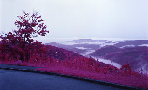 trees mountains fog rural landscape scenic northcarolina infrared distance