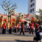 Chinese New Year of the Ox 136