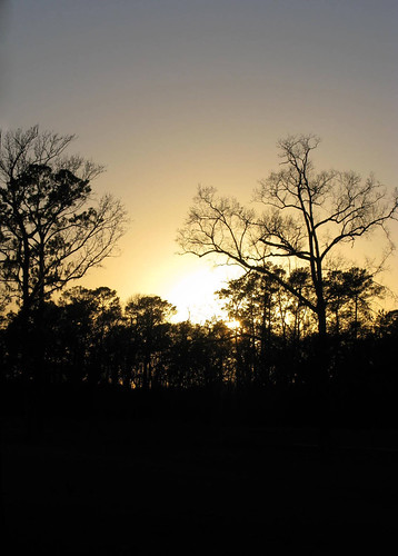 park trees sunset sky lakehouston deussenpark