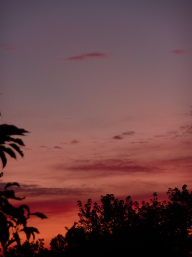 camera pink trees sunset summer sky orange west dusk belmont michigan august setting