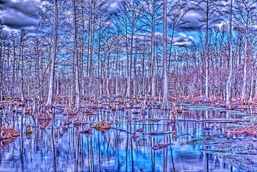 blue cloud water swamp bog
