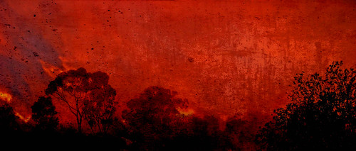 trees sunset red orange black fog silhouettes textures layers photoshopelements highfieldpark canona710 ultimateshot