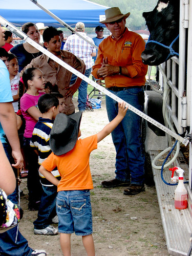 cow us milk texas learning teaching extension milking elsauz cactuscountryfestival southwestdairyfarmers