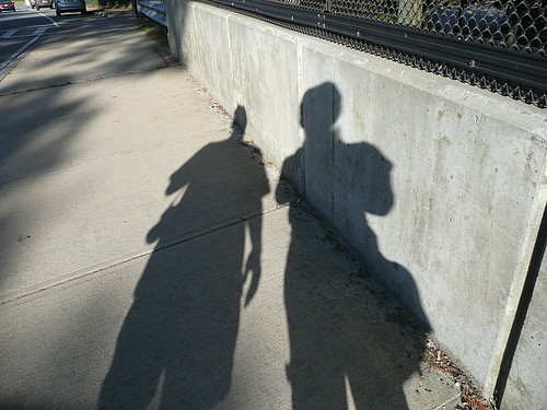 Shadow selves