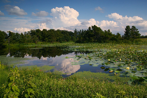 oklahoma river illinois pond top20oklahoma jtnickelswildlifepreserve