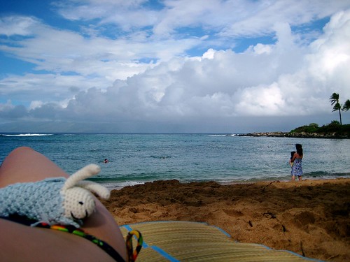 maui, hawaii, vacation, tropical, beach, sk… IMG_1696