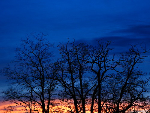 blue sunset orange france color colour tree silhouette clouds landscape branches savignysousfaye