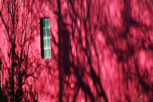 trees shadow red arizona usa patagonia window wall landscape unitedstates stucco santacruzcounty canon40d candywhitingphotography candywhiting