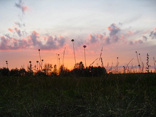 sunset summer sky cloud germany geotagged view dusk mecklenburgvorpommern müritz ★ userin geo:lat=5336003813 geo:lon=1293595077 0tagged set:name=200808mueritzberlin