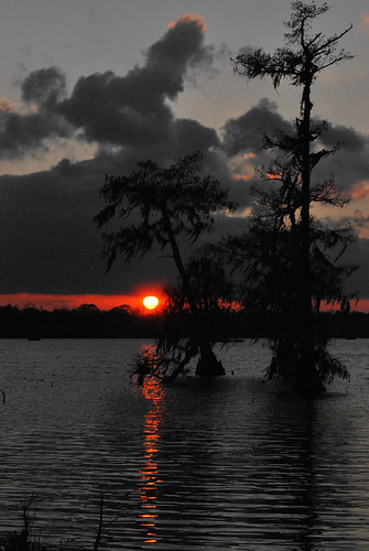 sunset sky orange cloud reflection tree water photoshop manipulated cutout evening nikon louisiana outdoor swamp spanishmoss cypress selectivecolor d60 lakemartin 3541 cmwdorange