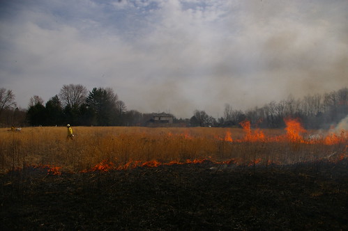 training fire burn grassfire ctvfd