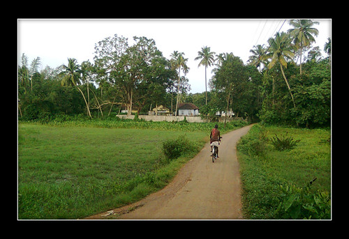 road green alone paddy kerala nostalgia cycle vaikom farmroad udayanapuram vayal nattinpuram