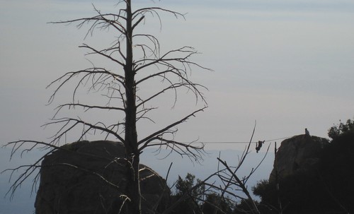 california crestline highwire skywalk sanbernardinonationalforest highwarewalking