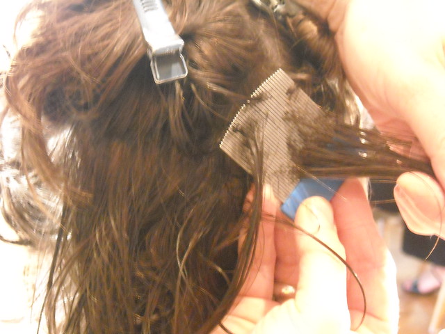 Insert head lice comb close to scalp