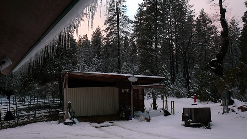 california christmas winter white holiday snow cold fun fresno snowing 2008 centralcalifornia