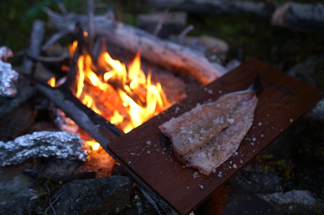 Smoking some delicious trout