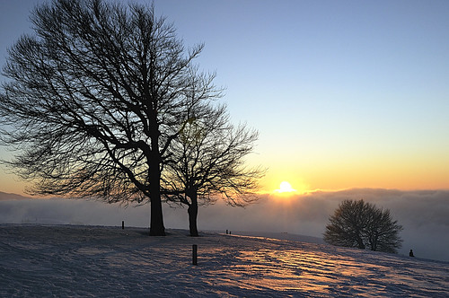 winter sunset mist snow fog geotagged nebel thumbsup schwarzwald blackforest beech schauinsland challengeyouwinner thumbsupwinner stohren geo:lat=4789955279269555 geo:lon=7885825961486783