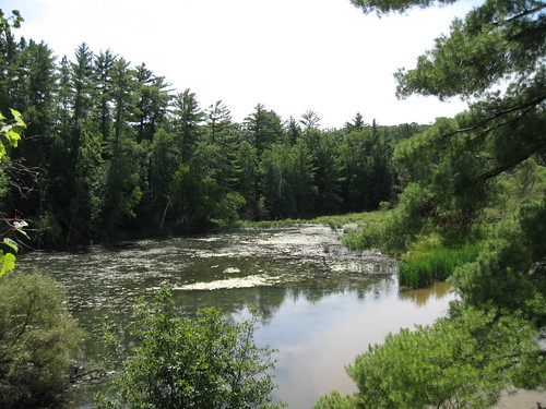 county pine river manistee