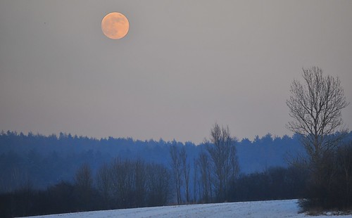 blue trees winter sunset sky orange moon mist snow ice forest germany afternoon gimp bamberg oberfranken gundelsheim josefm