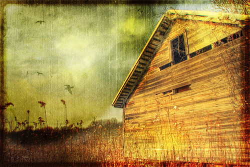 winter sunset snow bird texture field barn canon rebel garage shed hdr explored 1735mmf28lusm