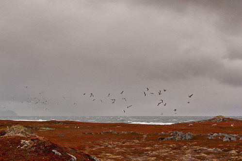 holiday norway clouds landscape norge reisen meer wasser urlaub skandinavien norwegen wolken polar scandinavia artic 2009 reise schifffahrt gamvik slettnesfyr