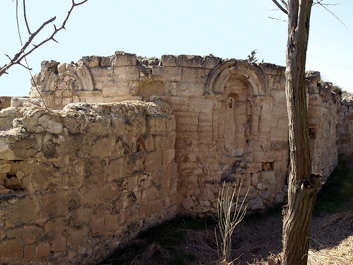 ruinas ermita palencia castillayleón románico cerrato cubillasdecerrato