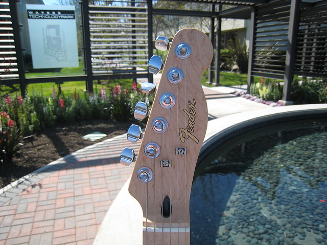 Photo：Fender Telecaster Lite Ash By Ethan Prater