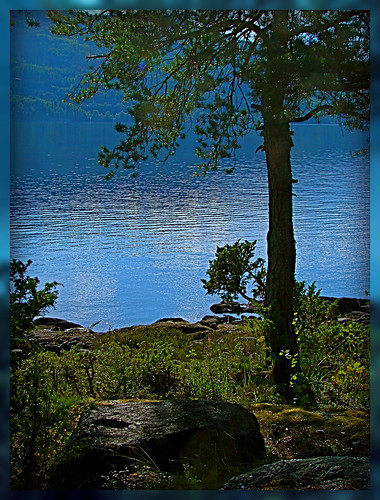 lake mountains tree norway rock greenery picturesque randsfjord panoramafotográfico mygearandme ringexcellence dblringexcellence