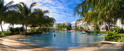 trees pool marina keys key florida pano panoramic palm resort villa mariners caribbean fl largo luxury villas floridakeys keylargo mariner marinas keyscaribbean